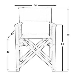 Nolan Director Chair