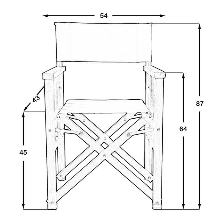 Nolan Director Chair